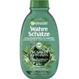 WAHRE SCHÄTZE šampon Grüner Tee & 4 Pflanzen, 250 ml
